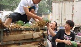 台前县新爆料吃瓜,吃瓜群众热议神秘事件